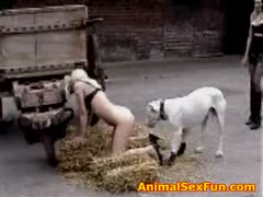 A white woman and a dog are having sex.